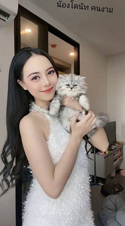 น้องโดนัท